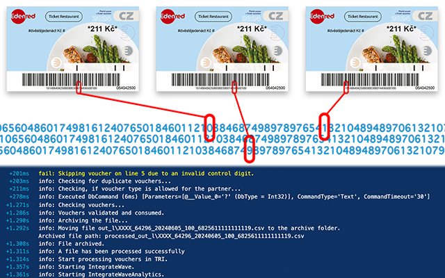 Automated voucher processing at national scale